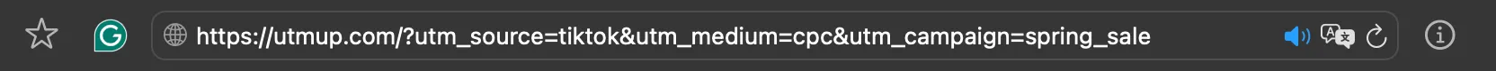 Example of utm parameters in searchbar